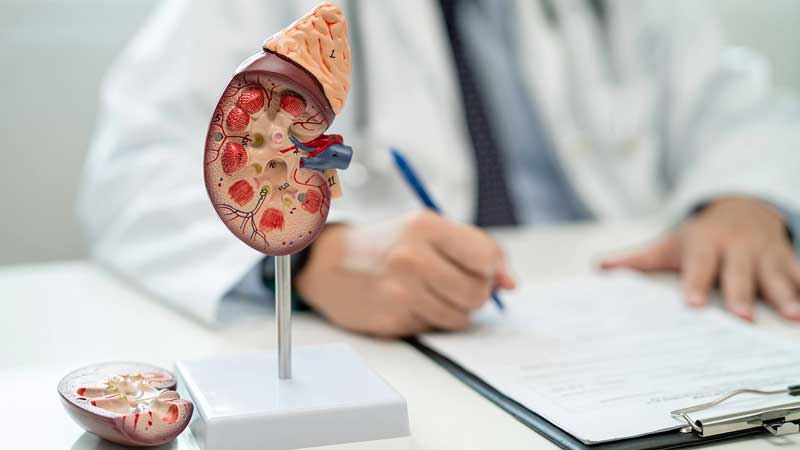 Gastro-Case